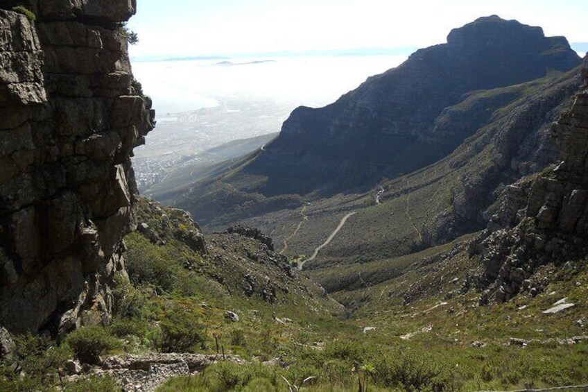Cape Town: Platteklip Gorge Half-Day Hike on Table Mountain