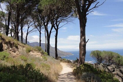 Pipetrack Hike for the whole family on Table Mountain - PRIVATE