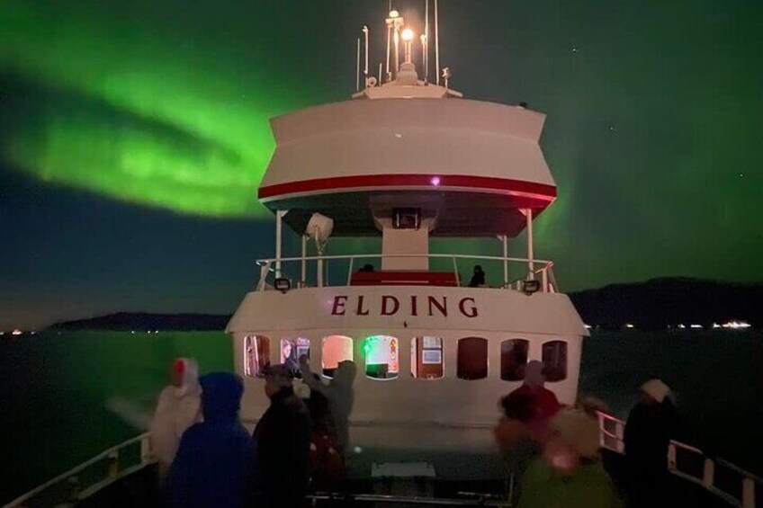 Northern Lights Cruise from Downtown Reykjavik