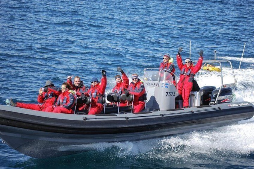 Whale Watching Small-Group Tour from Akureyri