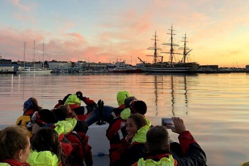 Whale Watching Small-Group Tour from Akureyri