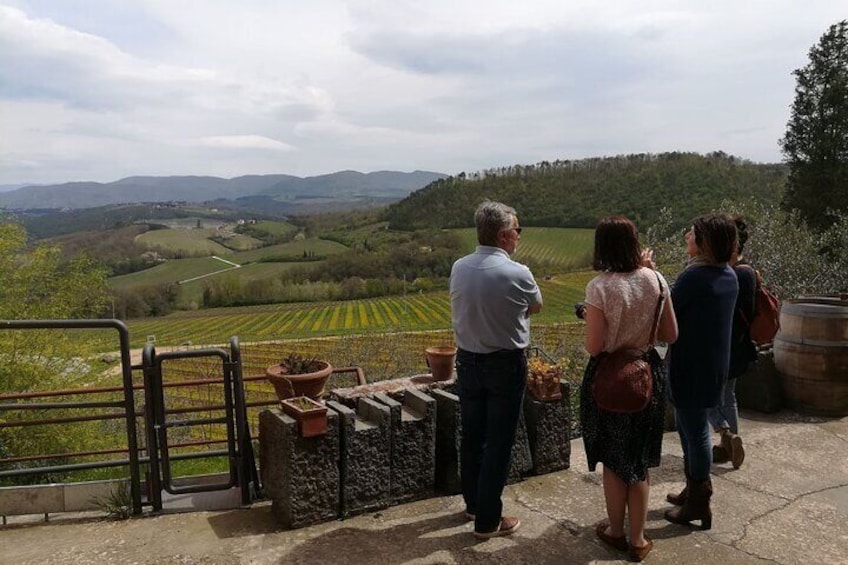 Chianti Wine Tasting at 3 wineries and a Tuscan lunch