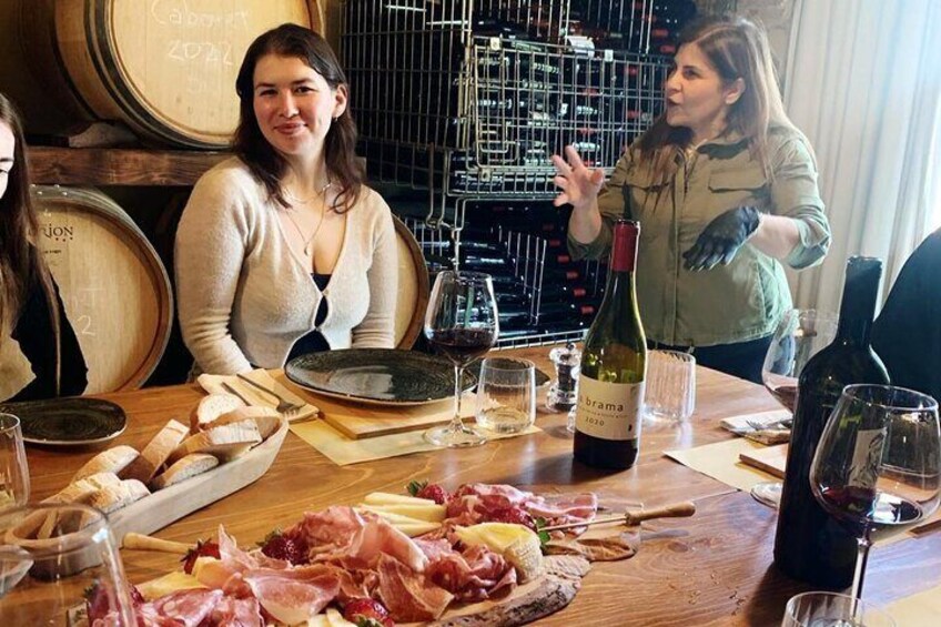 San Gimignano and Vernaccia Wine Tour with Lunch at Farm