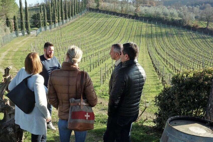 San Gimignano and Vernaccia Wine Tour with Lunch at Farm