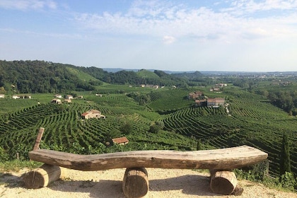 Prosecco - Wine tour & tasting - Full day in the Prosecco region