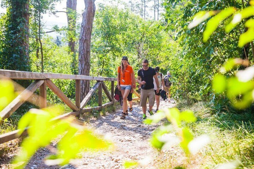 Skocjan Caves, Lipica & Piran: Karst & Coast Small-Group Day Trip from Ljubljana