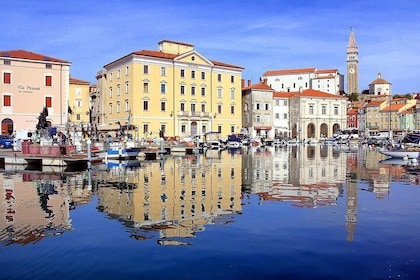 Skocjan Caves, Lipica & Piran: Karst & Coast Small-Group Day Trip from Ljub...