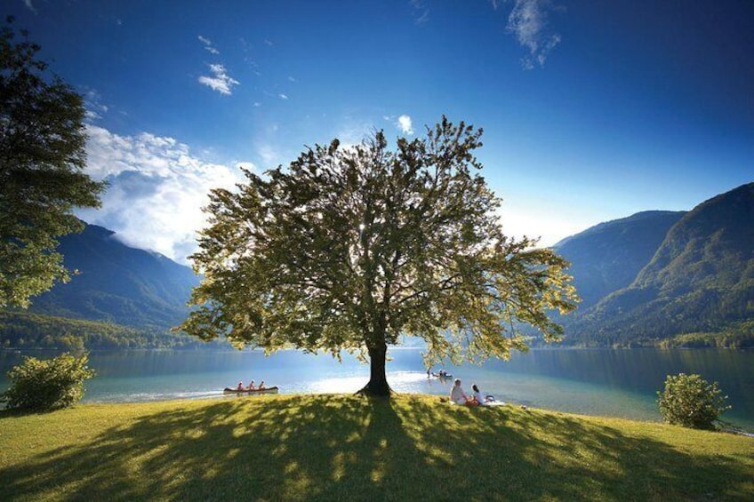 The stud at lake Bohinj