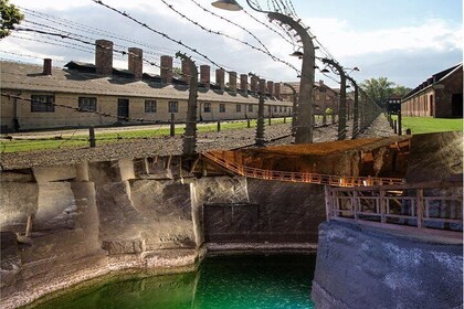 Super Saver: Auschwitz Birkenau & Wieliczka Salt Mine - Guide med afhentnin...