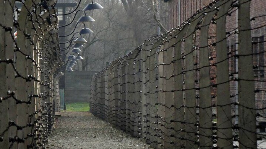 Auschwitz & Birkenau: Live-Guided Tour with Transportation and Hotel Pickup