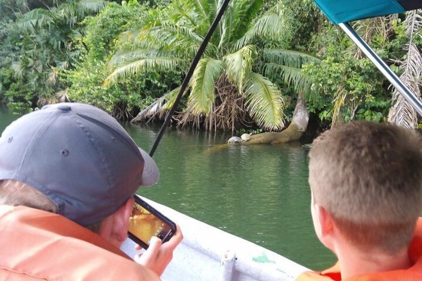 Monkey Island, Panama Canal