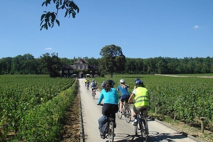 Borgogna tour in bicicletta con degustazione di vini da Beaune