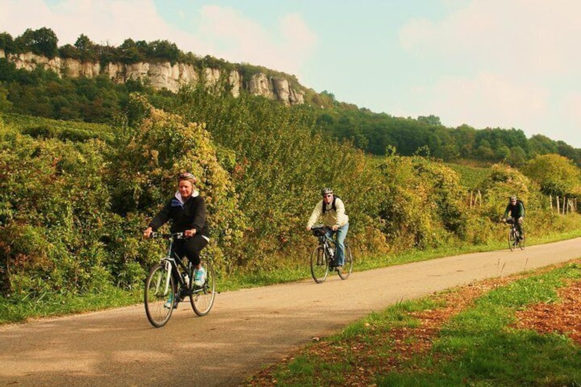 Burgundy Bike Tour with Wine Tasting from Beaune