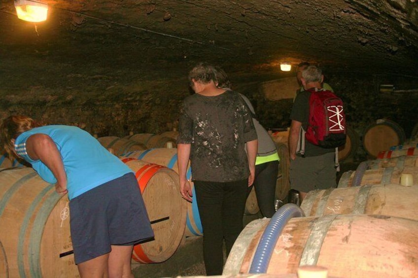 visit cellars