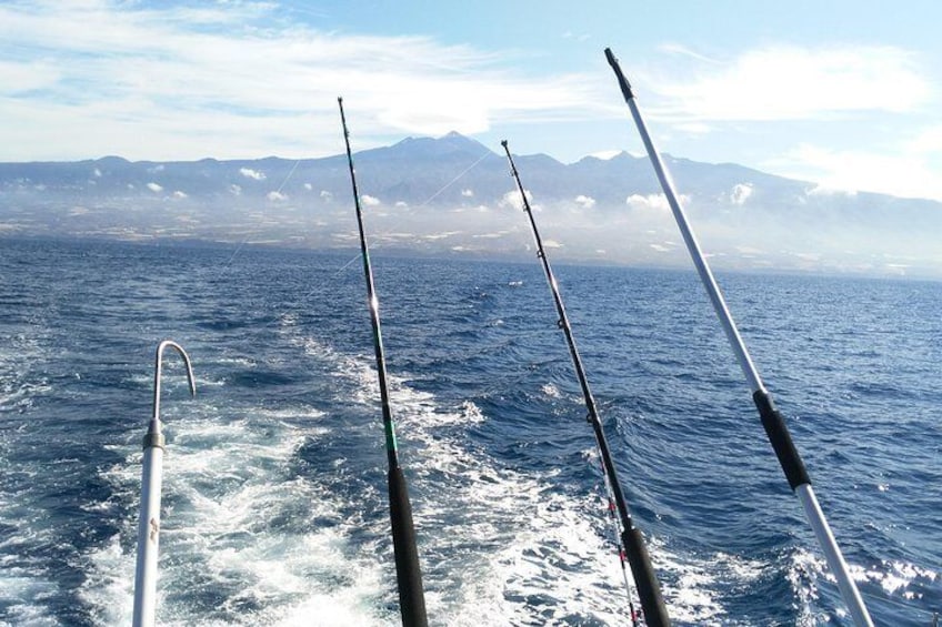 Sea Passion Tenerife Whalewatching and fishing Enjoy of the nature from the sea