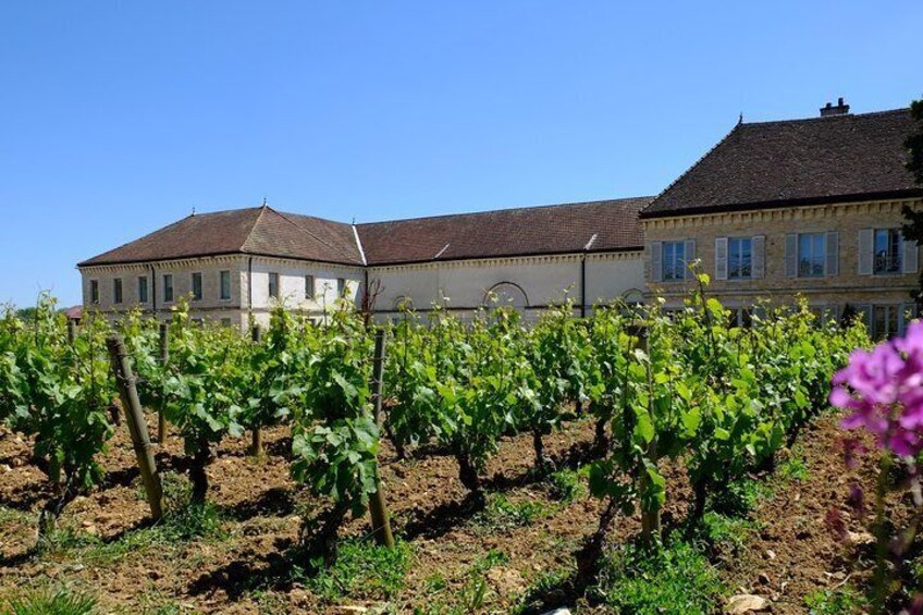 Chateau en Bourgogne