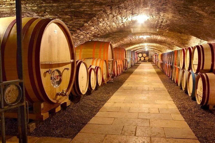 Visit cellars and domaines