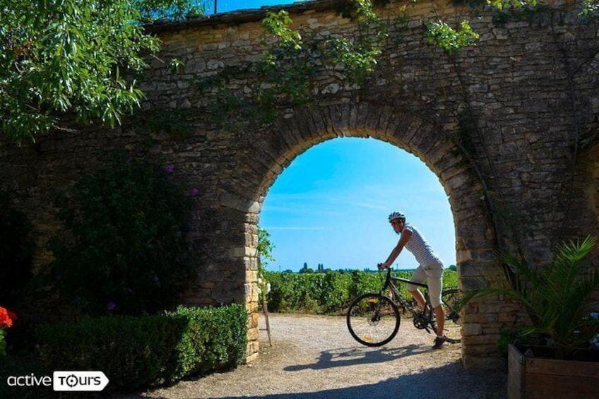 Guided Cycling vacation in France