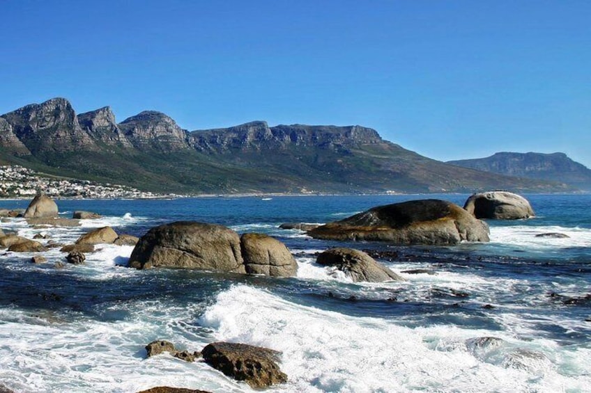 Cape Peninsula tour