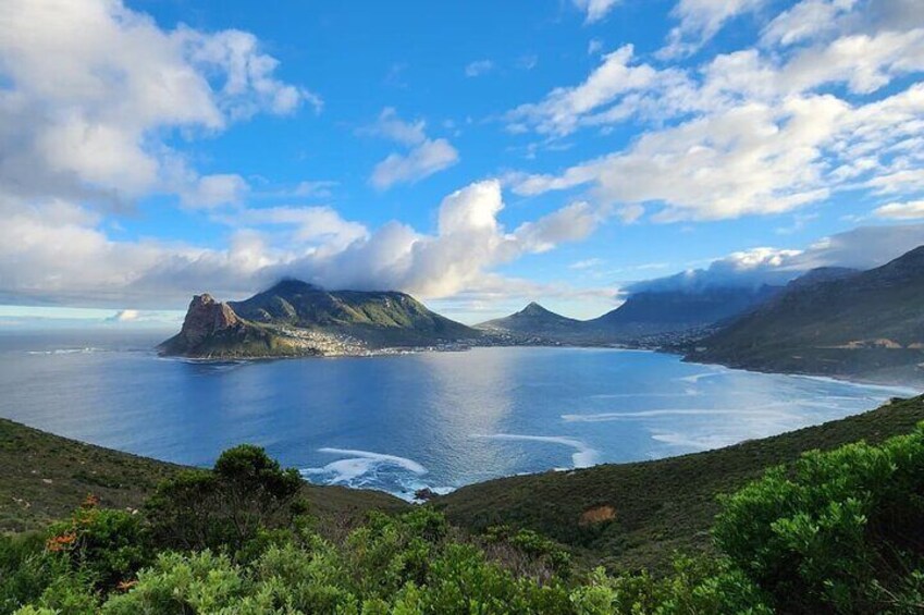 The Cape Peninsula Half Day Tour in Cape Town