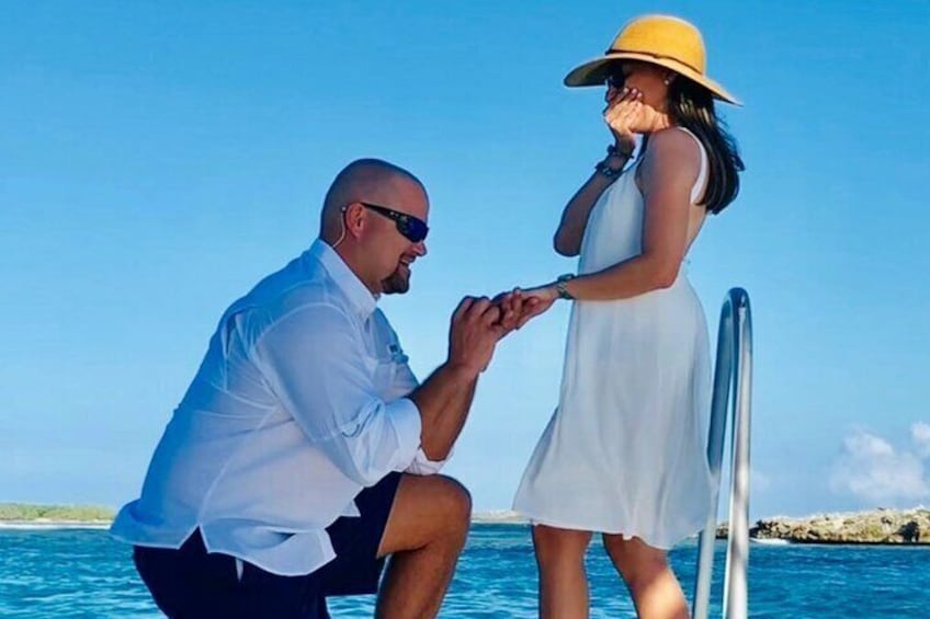 Perfect proposal.