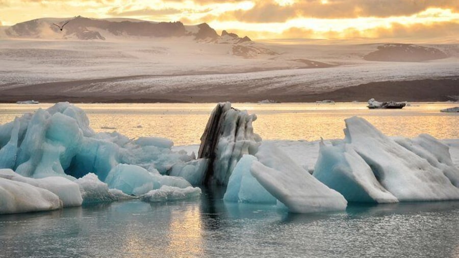 Glacier Lagoon Jökulsárlón