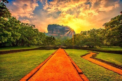 Sigiriya and Dambulla Private Day Tour