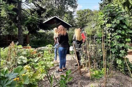 Warsaw Off the Beaten Path & Local Pastry