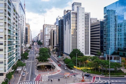 Gru Airport São Paulo Layover 6-hour Private Tour - Main sights