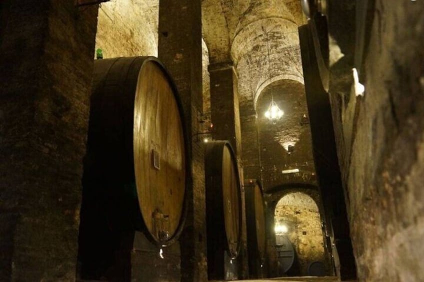 Wine Tasting and Tour of The Most Beautiful Cellar in the World