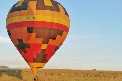 Safari Flight