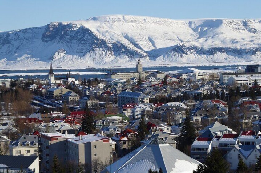 Reykjavik Food Tour and City Walk - PRIVATE TOUR