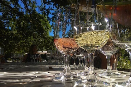 Tour del vino a Stellenbosch e Franschhoek • incl. degustazioni e pranzo
