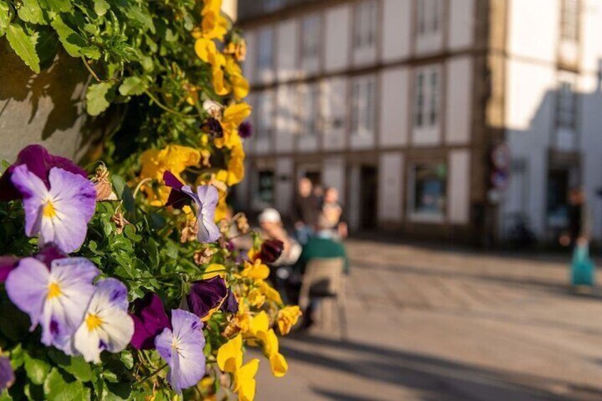 Old Town of Santiago de Compostela Walking Tour