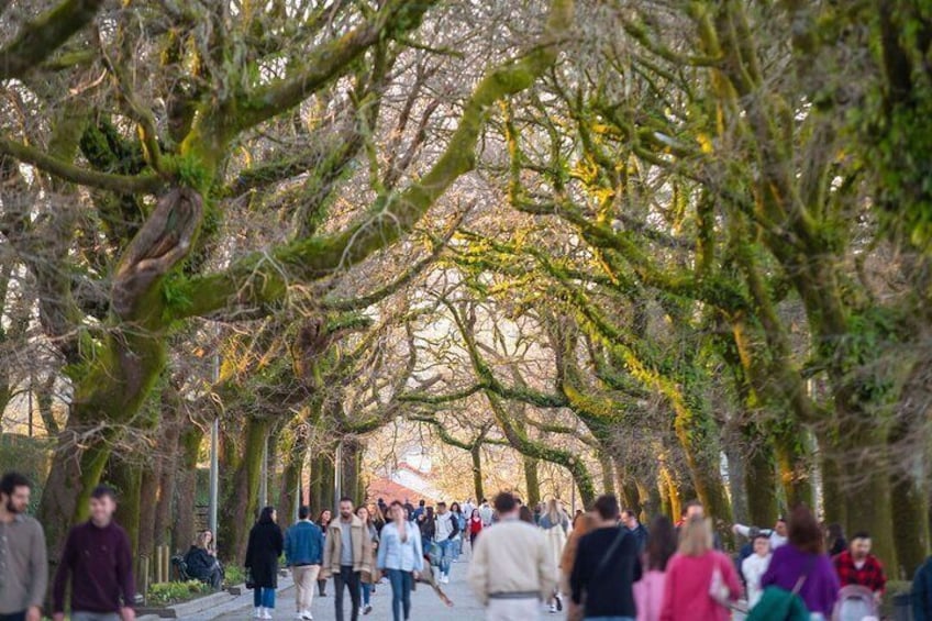 Old Town of Santiago de Compostela Walking Tour