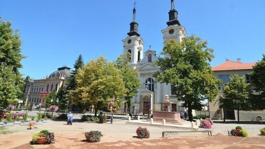 Pearl of North Serbia, trip to Novi Sad and Sremski Karlovci with wine tasting