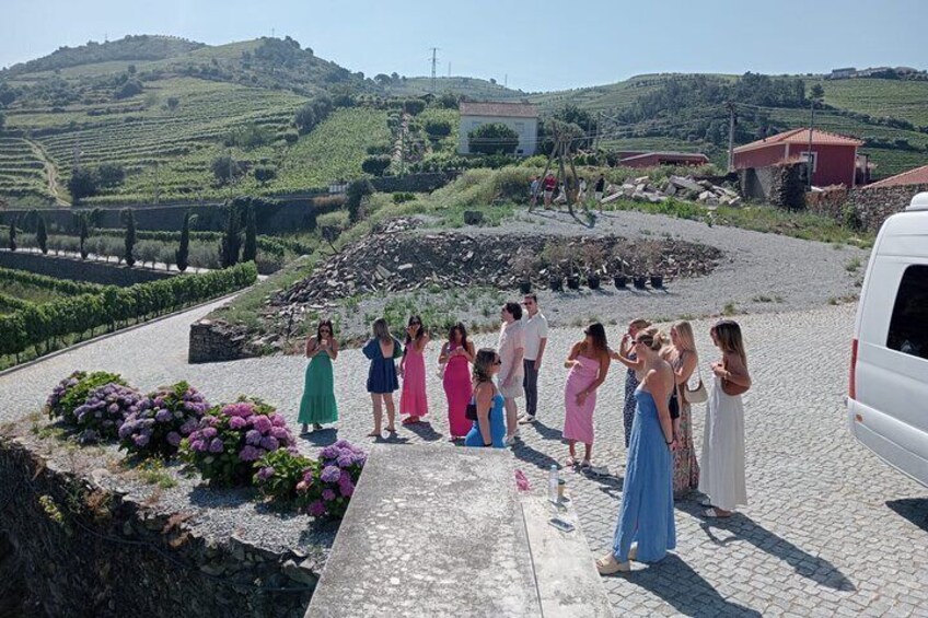 Douro Valley for Wine Lovers with Visit to 3 Vineyards and Lunch at a Winery