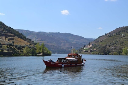 Tour della Valle del Douro con visita a due vigneti, crociera sul fiume e p...