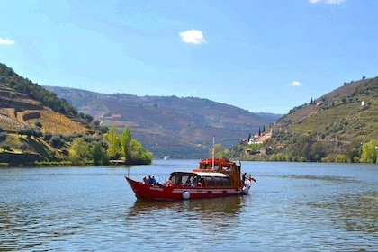 Douro Valley Tour med besøg på to vingårde, flod krydstogt og frokost på vi...