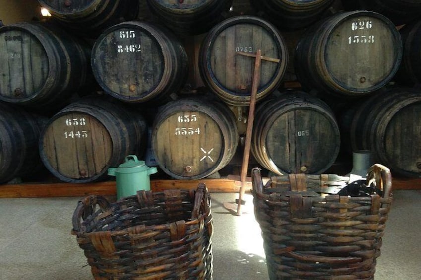 Douro Valley Tour with Visit to two Vineyards, River Cruise and Lunch at Winery