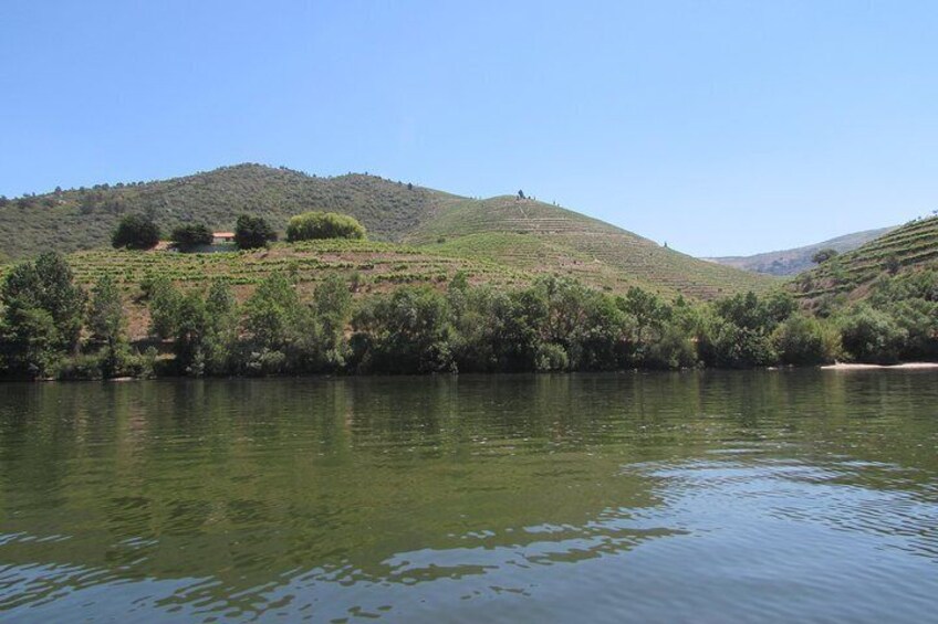 Douro Valley Tour with Visit to two Vineyards, River Cruise and Lunch at Winery