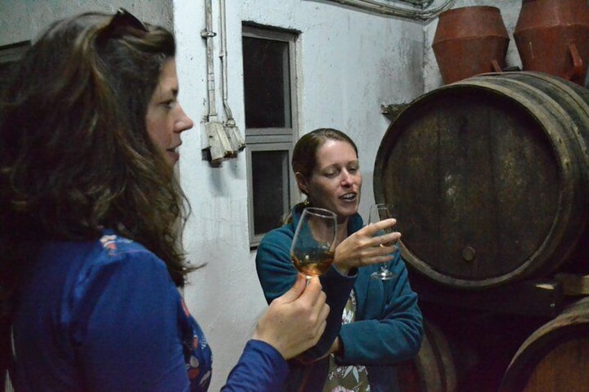 Douro Valley Tour with Visit to two Vineyards, River Cruise and Lunch at Winery