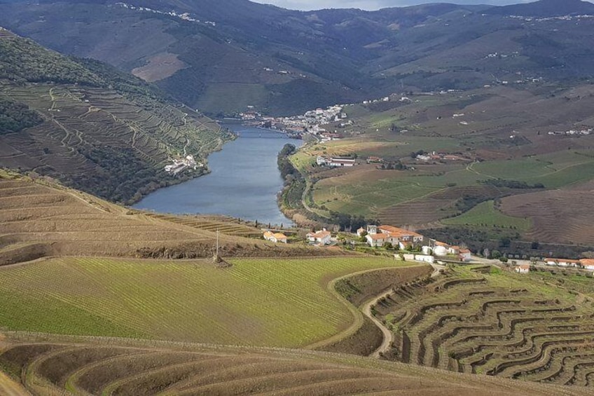 Douro Valley Tour with Visit to two Vineyards, River Cruise and Lunch at Winery