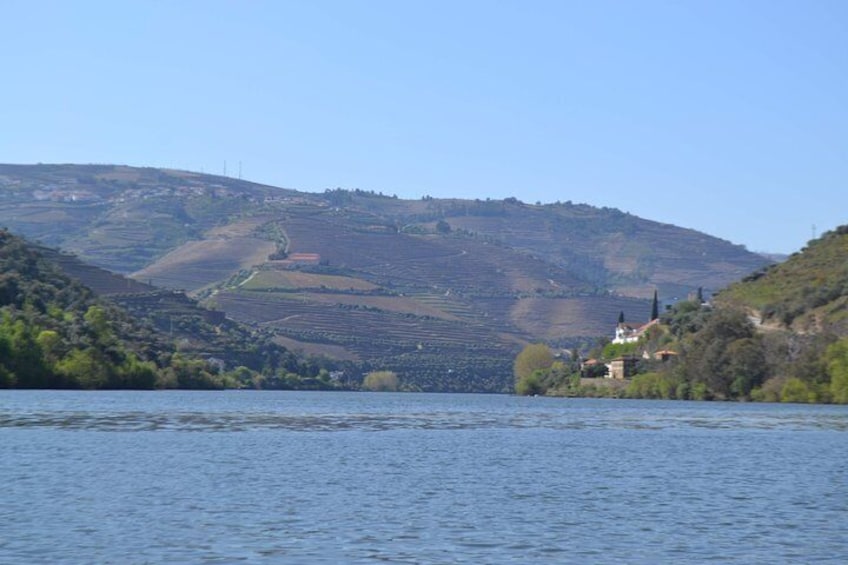 Douro Valley Tour with Visit to two Vineyards, River Cruise and Lunch at Winery