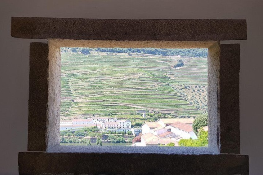Douro Valley Wine Tour: Visit to Three Vineyards with Wine Tastings and Lunch