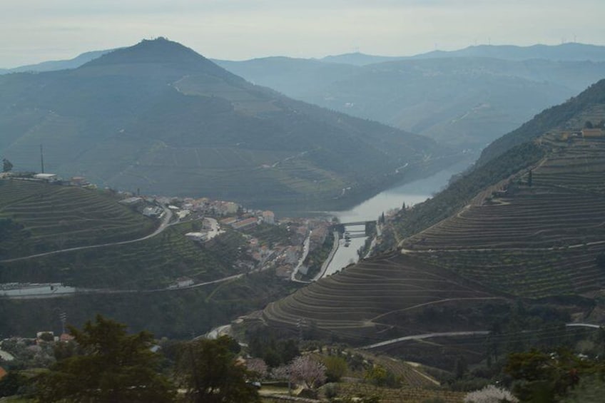 Douro Valley Wine Tour: Visit to Three Vineyards with Wine Tastings and Lunch
