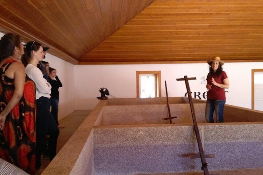 Douro Valley Wine Tour: Visit to Three Vineyards with Wine Tastings and Lunch