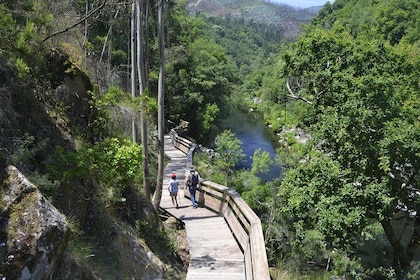 Paiva Walkways and Alvarenga Small-Group from Porto