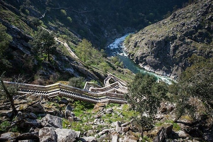 Paiva Walkways and Alvarenga Small-Group from Porto