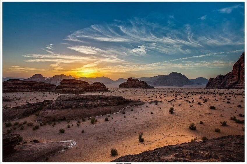 Wadi Rum tour from Dead Sea or Amman